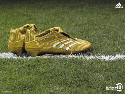 shoes du maitre